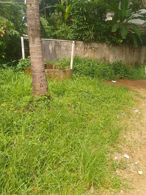  Plot For Sale in Cheroor