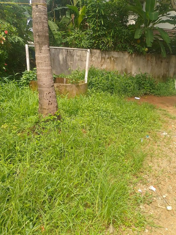 Plot For Sale in Cheroor