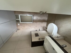 Bathroom in 2 BHK Apartment at Godrej Green Cove, Mahalunge – for Rent