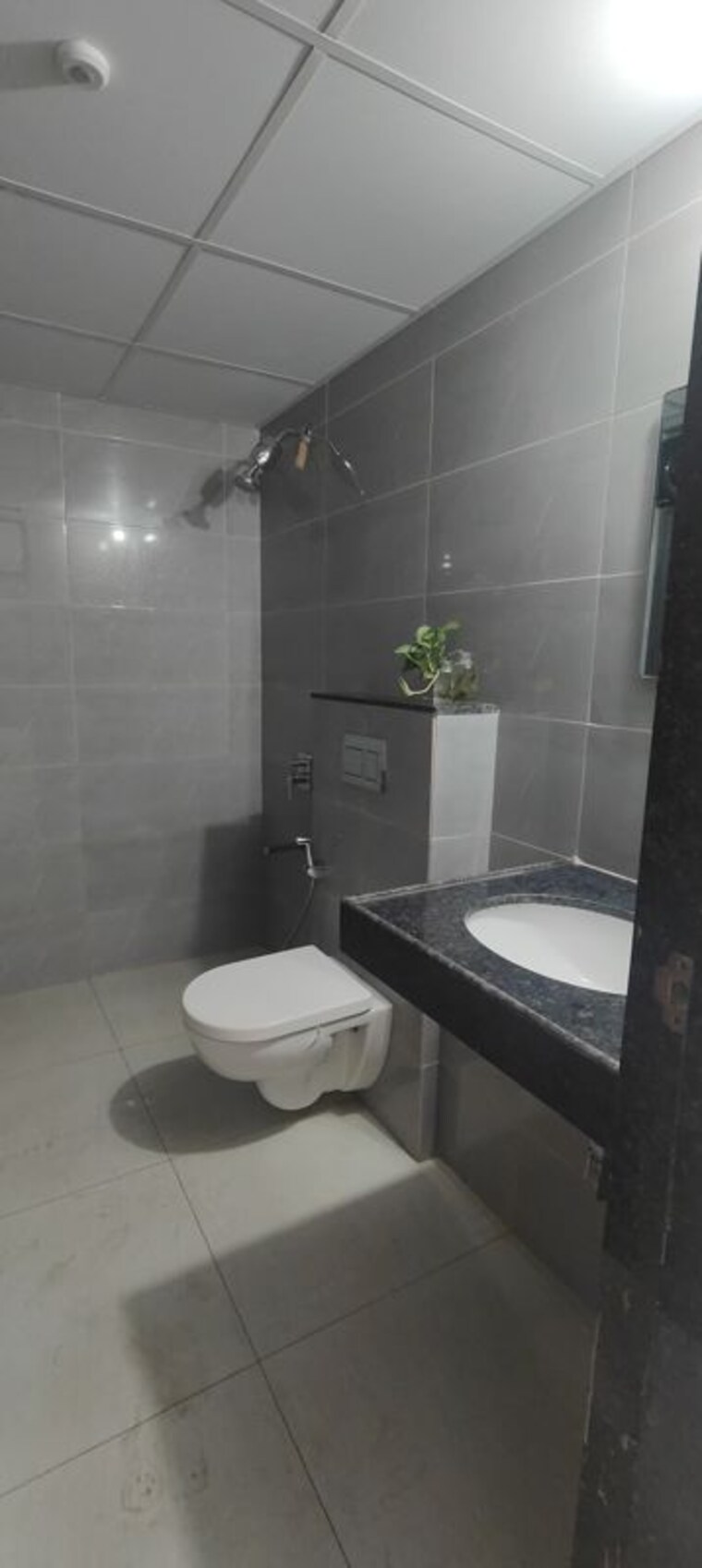 Bathroom, shapoorji-pallonji-sensorium 2 Bedroom 850 Sq.Ft. Apartment In Hinjewadi Pune 10412832
