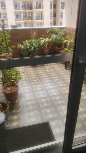 Balcony in 2 BHK Apartment at Eros Rosewood City, Sector 49 – for Rent
