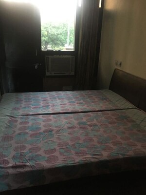 1 RK Apartment For Rent in Sector 15