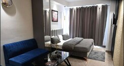 1 BHK Apartment For Rent in Preet Colony