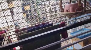 Balcony in 1.5 BHK Apartment at Kharghar – for Sale