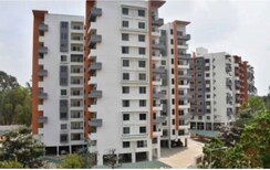 3 BHK Apartment For Sale in Renaissance Woods Phase I
