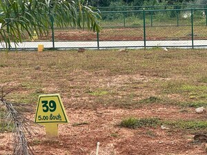 Plot Area in  Plot at Bantwal – for Sale