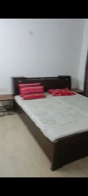 3 BHK Apartment For Sale in SLF Anushree, Sector 75
