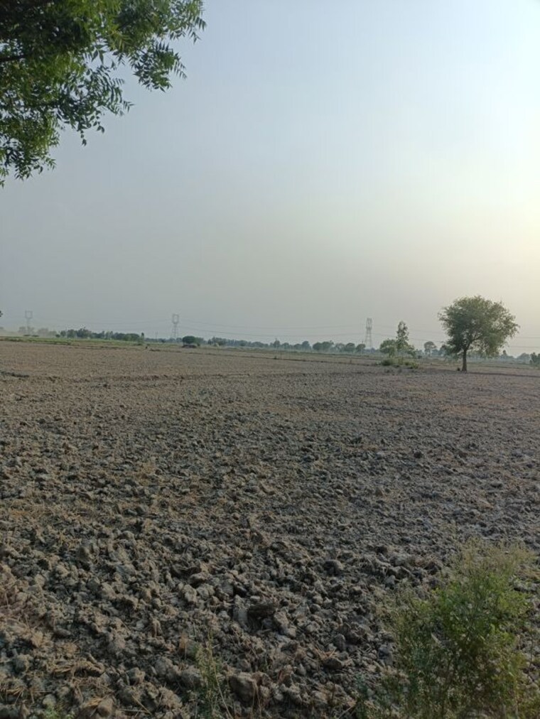undefined, hansi Commercial Land 8 Acre In Hansi Hisar 10414541