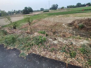  Plot For Sale in Ayodhya