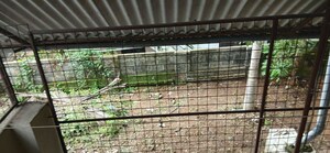Balcony in 3 BHK Independent House at Sreekariyam – for Sale