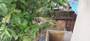 3 BHK Independent House – Garden View at Sreekariyam - for Sale