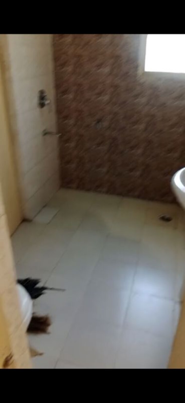 Room, zion-stonecrop-and-celeste-garden 2.5 Bedroom 1275 Sq.Ft. Apartment In Sector 78 Faridabad 10415184