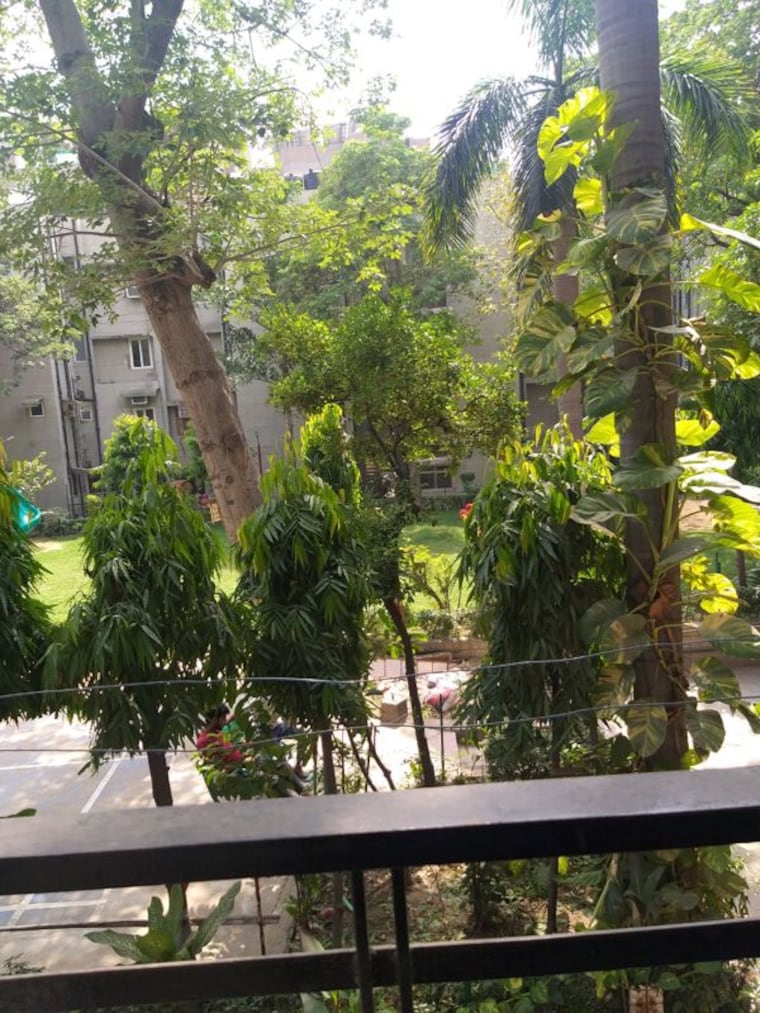 Garden, ip extension 1 Bedroom 750 Sq.Ft. Apartment In Ip Extension Delhi 10415190