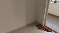 2 BHK Apartment For Rent in Shapoorji Pallonji Joyville Gurgaon