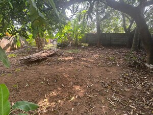 Plot Area in  Plot at Chembukkavu – for Sale