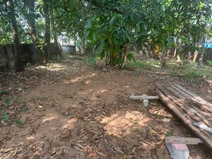 Plot Area in  Plot at Chembukkavu – for Sale