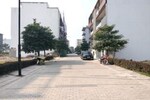 146 Sq.Yd. Plot in BPTP District 3