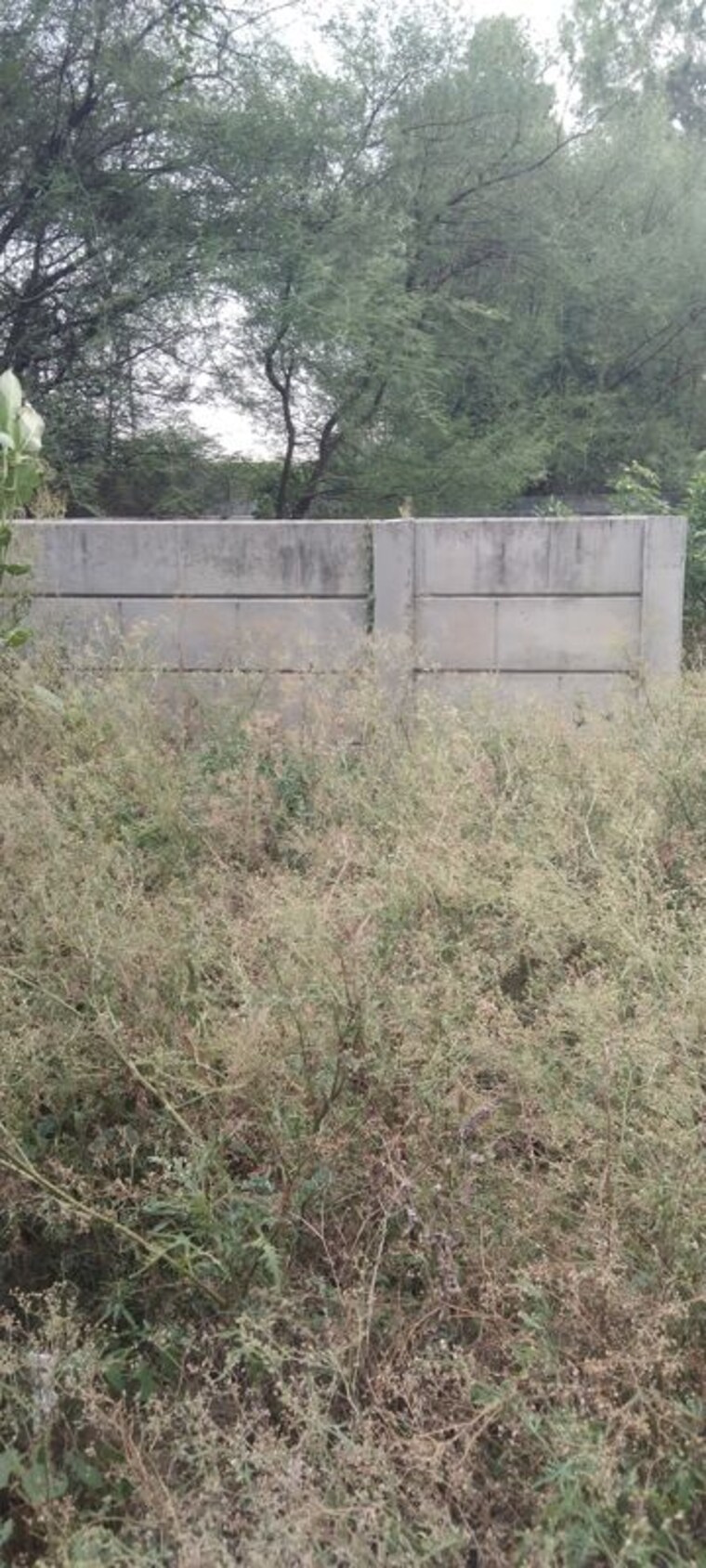 undefined, hasanpur khevali  774 Sq.Ft. Plot In Hasanpur Khevali Lucknow 10415772