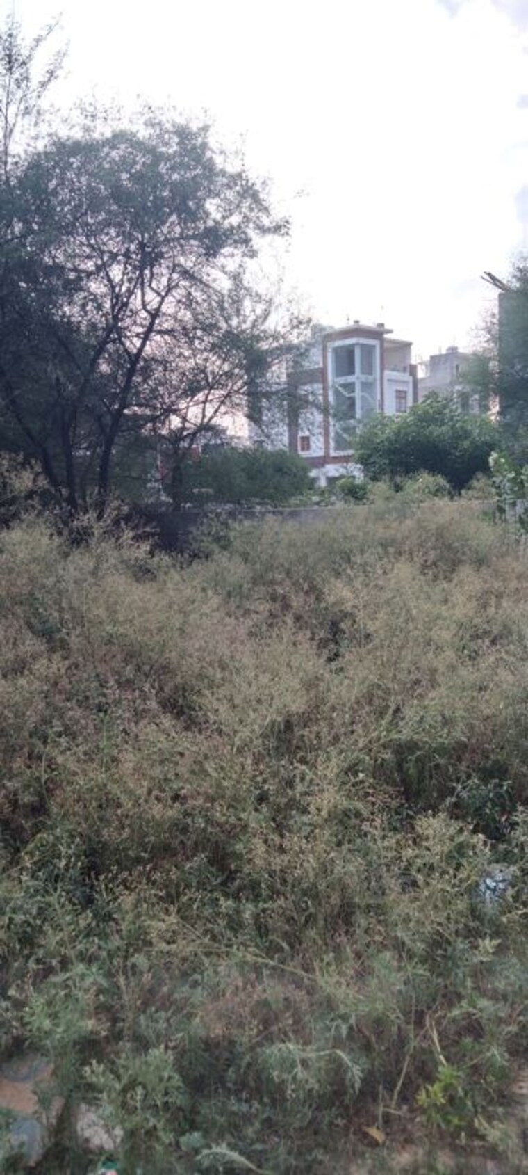 undefined, hasanpur khevali  774 Sq.Ft. Plot In Hasanpur Khevali Lucknow 10415772