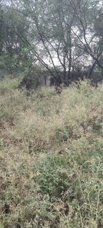 774 Sq.Ft. Plot in Hasanpur Khevali