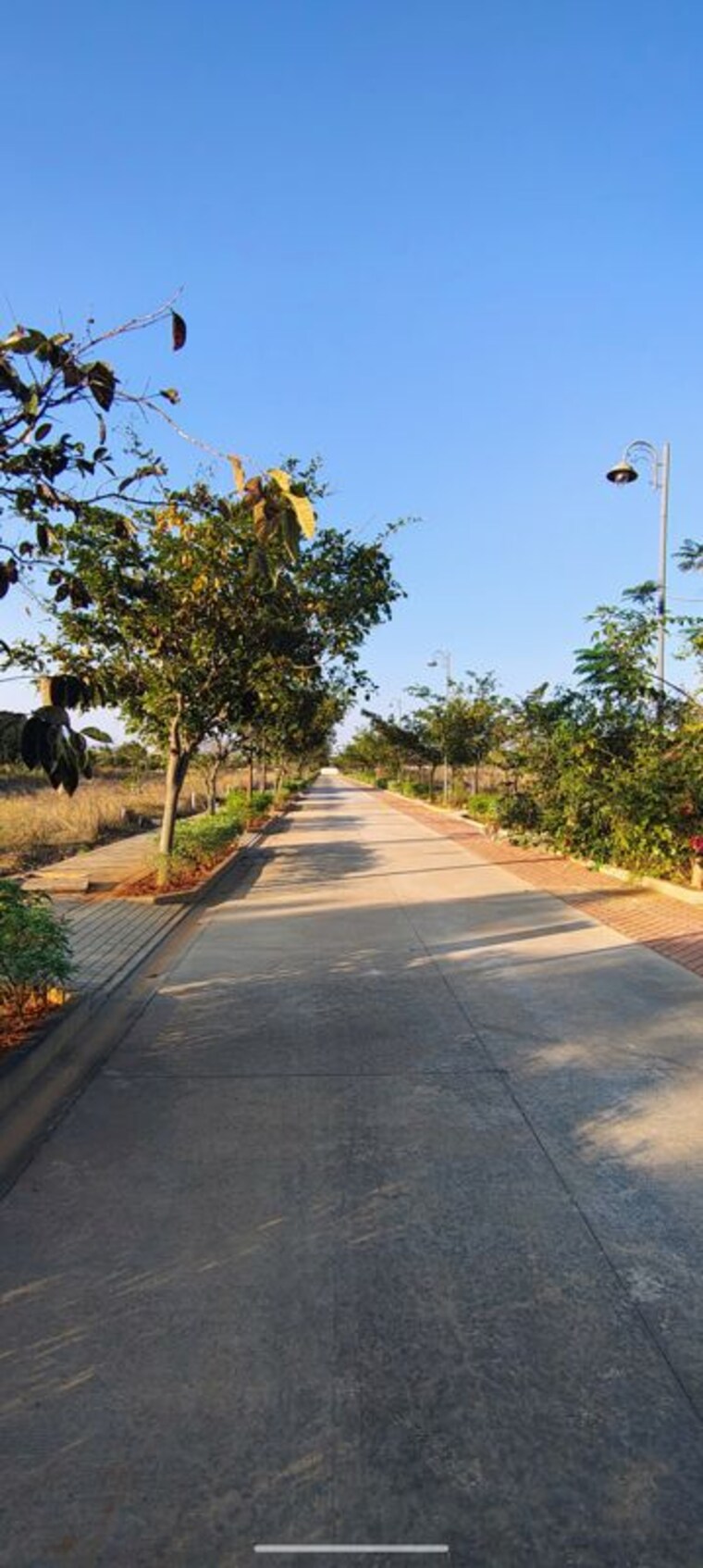 Garden, puravankara-tivoli-hills  2000 Sq.Ft. Plot In Devanahalli Bangalore 10415767