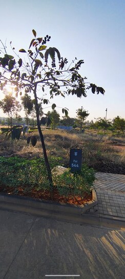 Plot For Sale in Puravankara Tivoli Hills