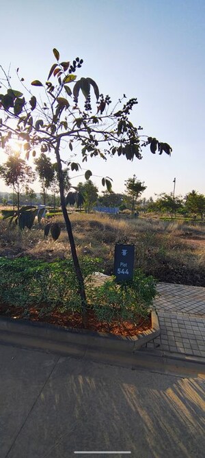  Plot For Sale in Puravankara Tivoli Hills, Devanahalli