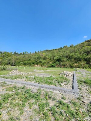  Plot For Sale in Bhauwala
