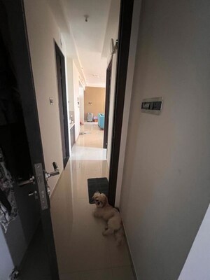 Bathroom in 2 BHK Apartment at Pharande Puneville, Punawale – for Rent