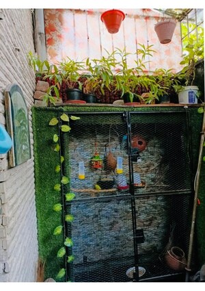 4 BHK Apartment – Exterior View View at Dilshad Colony - for Sale