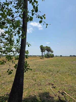  Land For Sale in Nepalle