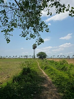  Land – Exterior View View at Nepalle - for Sale