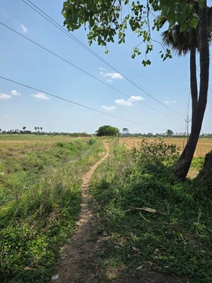 Plot Area in  Land at Nepalle – for Sale