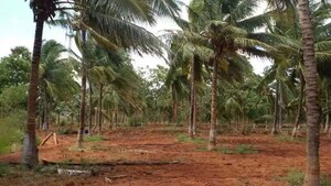  Land For Sale in Periya Negamam