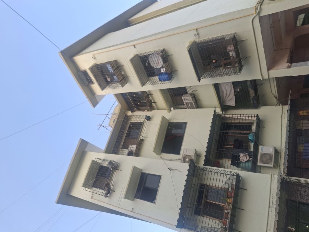1 Rk  290 Sq.Ft. Apartment in Gharonda Housing