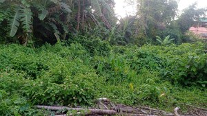 Plot Area in  Plot at Rajpur Sonarpur – for Sale