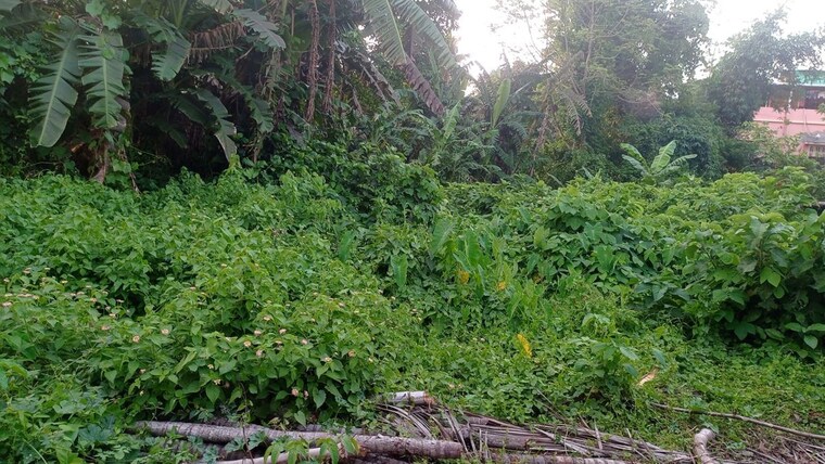 undefined, rajpur sonarpur  2160 Sq.Ft. Plot In Rajpur Sonarpur Kolkata 10416566