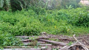 Plot Area in  Plot at Rajpur Sonarpur – for Sale