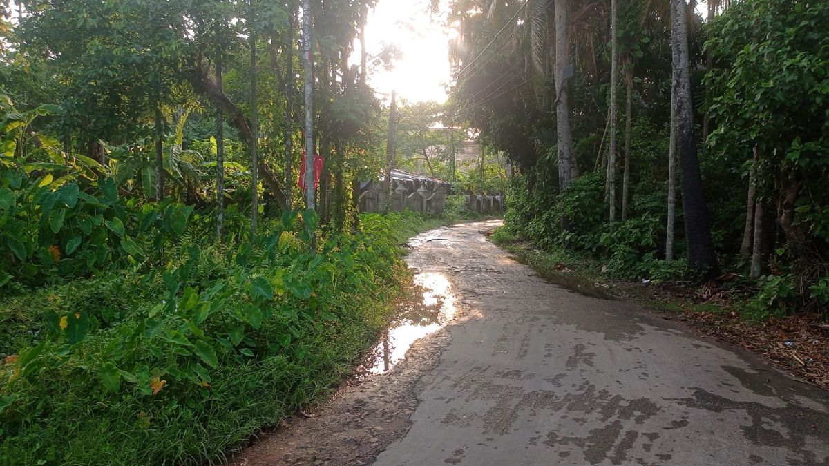 Plot For Sale in Kodalia
