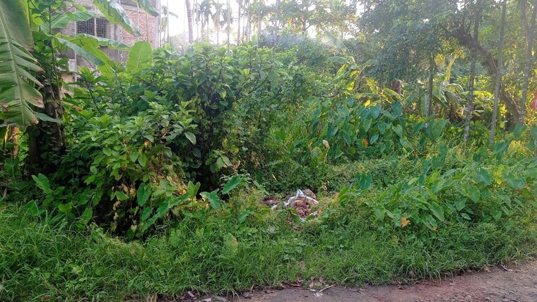 Garden, kodalia  2161 Sq.Ft. Plot In Kodalia Kolkata 10416586