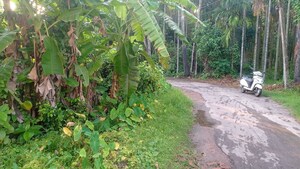  Plot – Garden View at Kodalia - for Sale