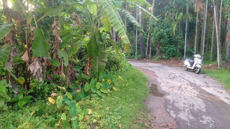 Garden, kodalia  2161 Sq.Ft. Plot In Kodalia Kolkata 10416586
