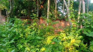 Plot – Garden View at Kodalia - for Sale