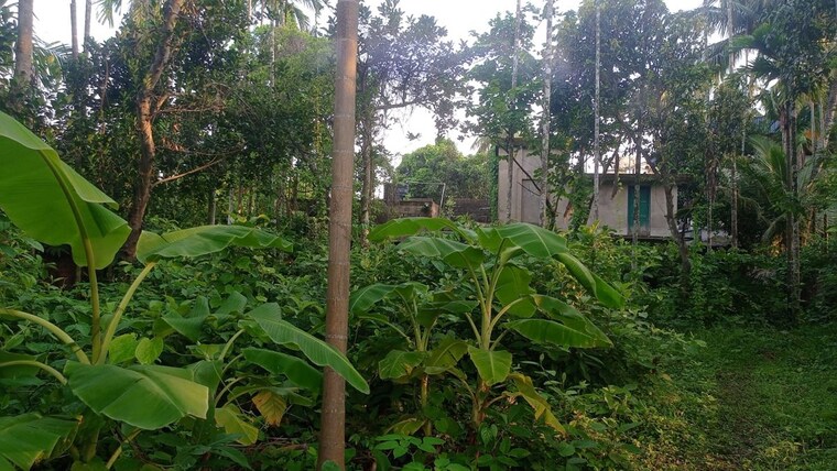 Garden, kodalia  25920 Sq.Ft. Plot In Kodalia Kolkata 10416564