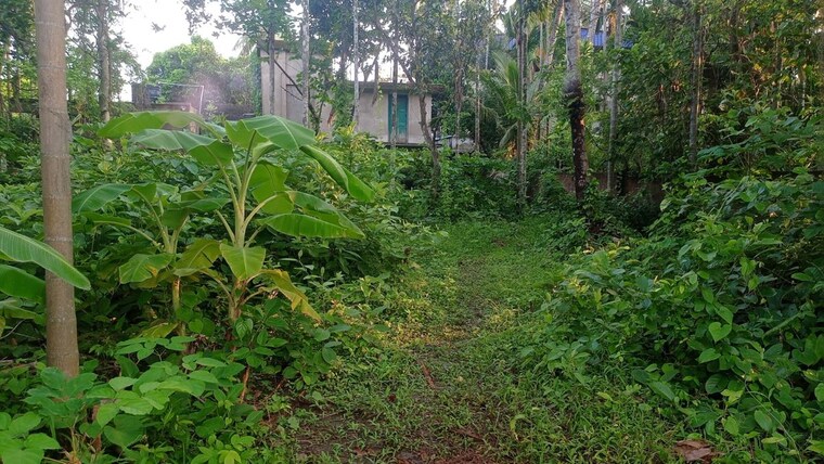 Garden, kodalia  25920 Sq.Ft. Plot In Kodalia Kolkata 10416564