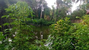  Plot – Garden View at Kodalia - for Sale