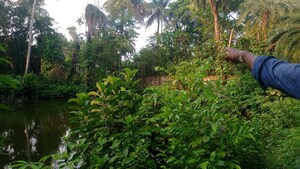  Plot – Garden View at Kodalia - for Sale