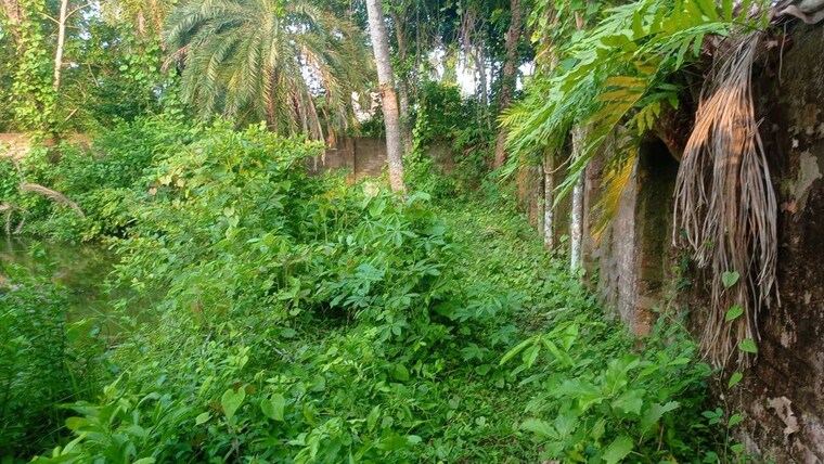 Garden, kodalia  25920 Sq.Ft. Plot In Kodalia Kolkata 10416564