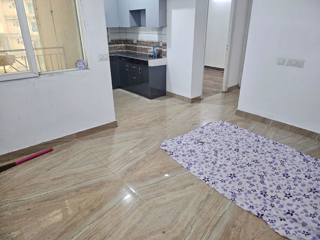2 BHK Apartment For Sale in Migsun Twiinz