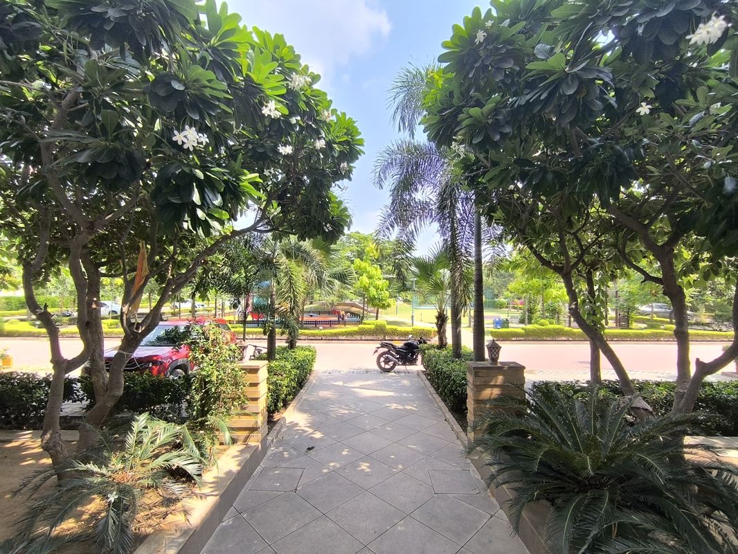 3 BHK + Pooja Room,Study Room,Extra Room,Basement Apartment For Rent in BPTP Amstoria Country Floor